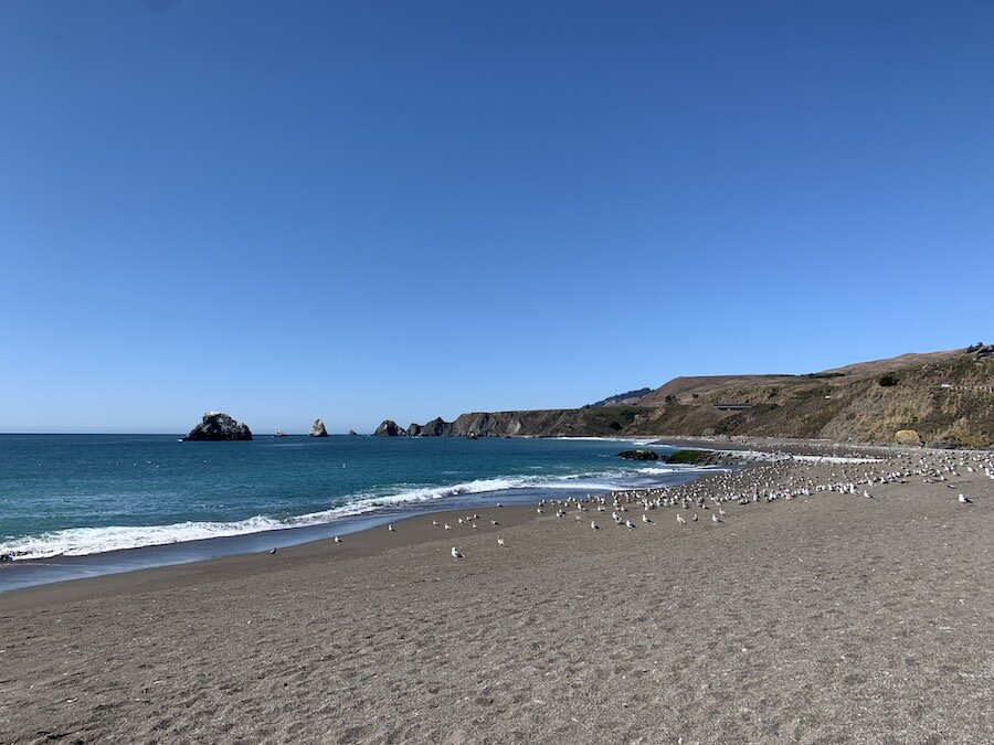 Sonoma County Coastline At The Mouth Of The Russian River