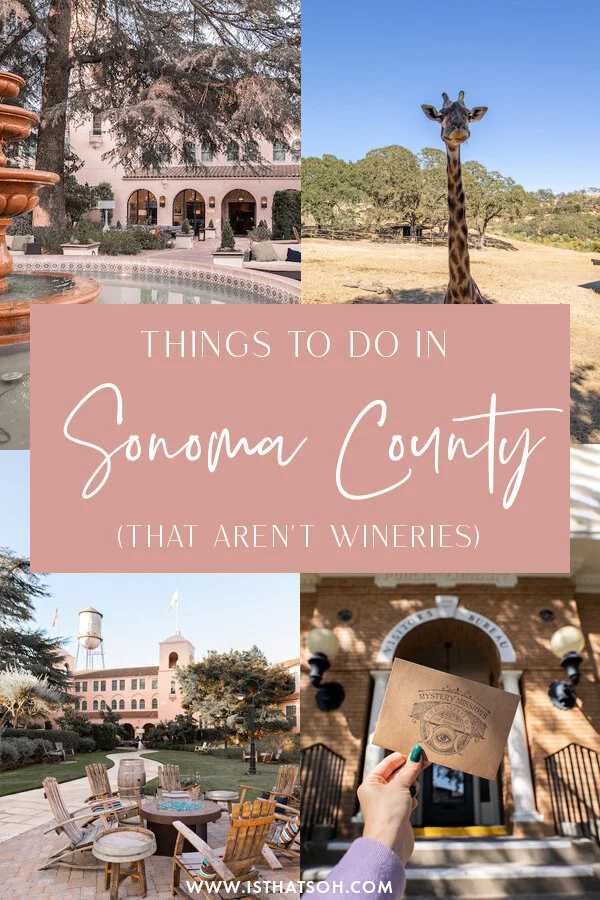 Sonoma County 1.jpg