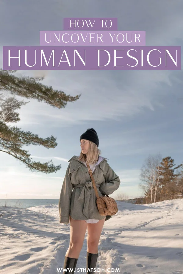 human design chart