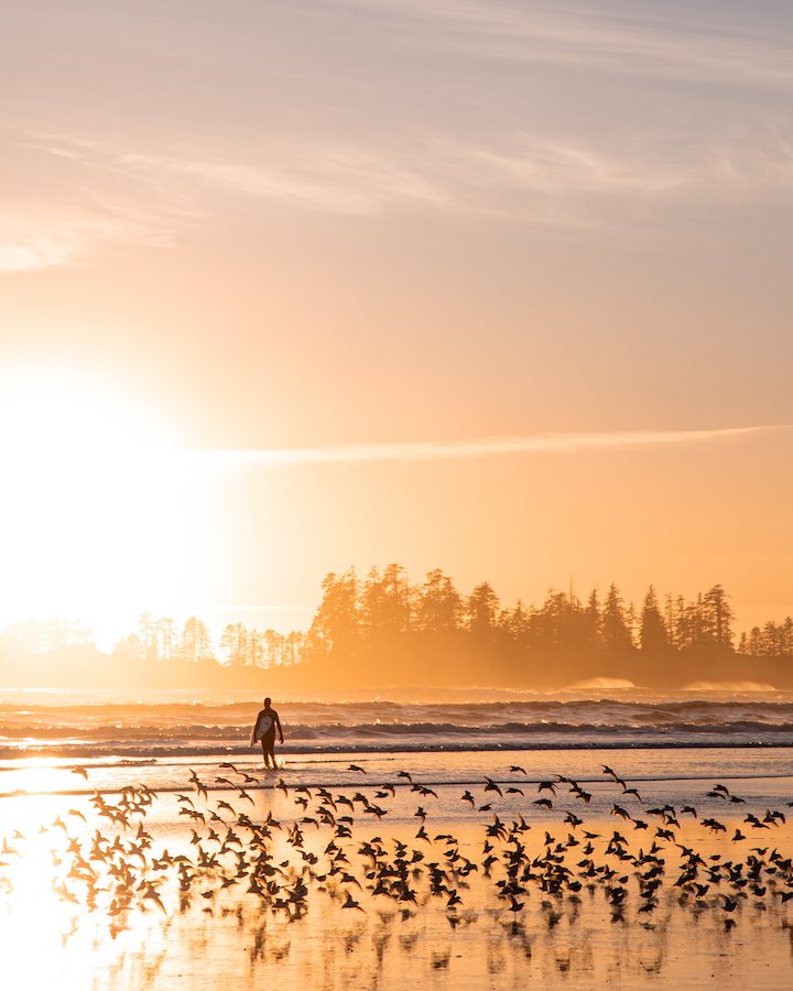 Things To Do In Tofino - Long Beach-3.jpg