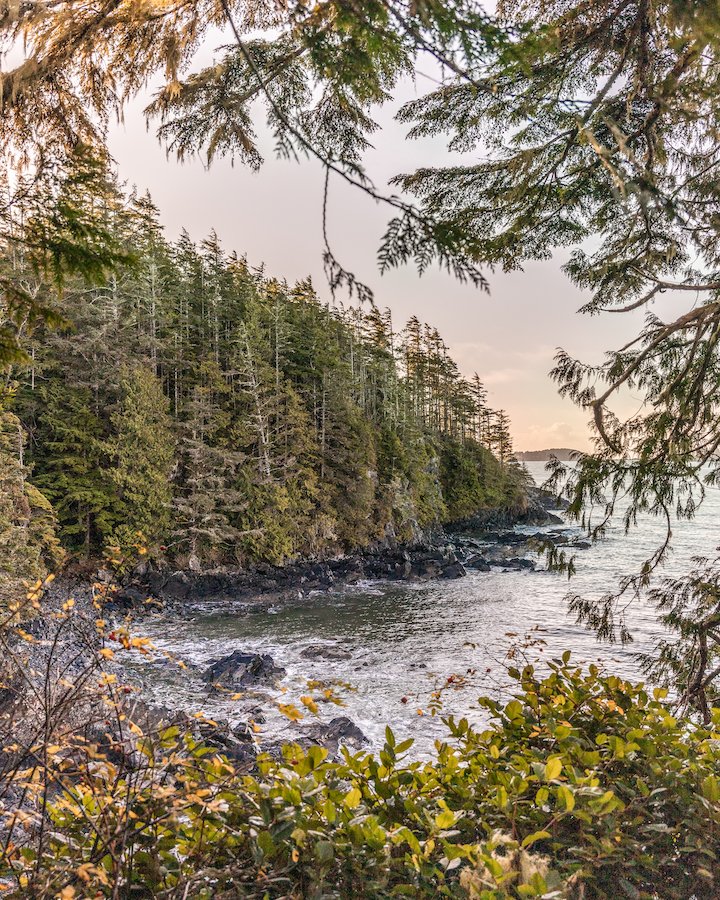 Things To Do In Tofino - Tonquin Trail - Third Beach.jpg