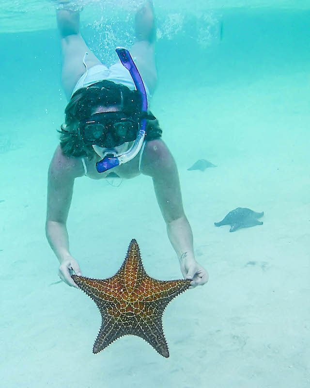 Belize - resort Belize Dive Haven - Turneffe Island Resort - Snorkeling Tour - IsThatSoh Starfish-2.jpg