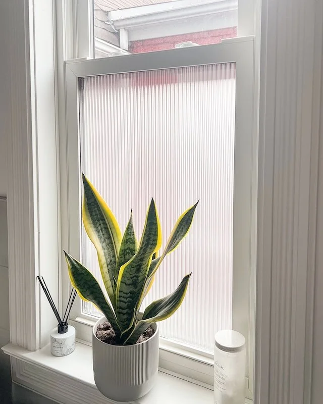 Home renovations in Toronto - fluted window privacy film for bathrooms.jpg