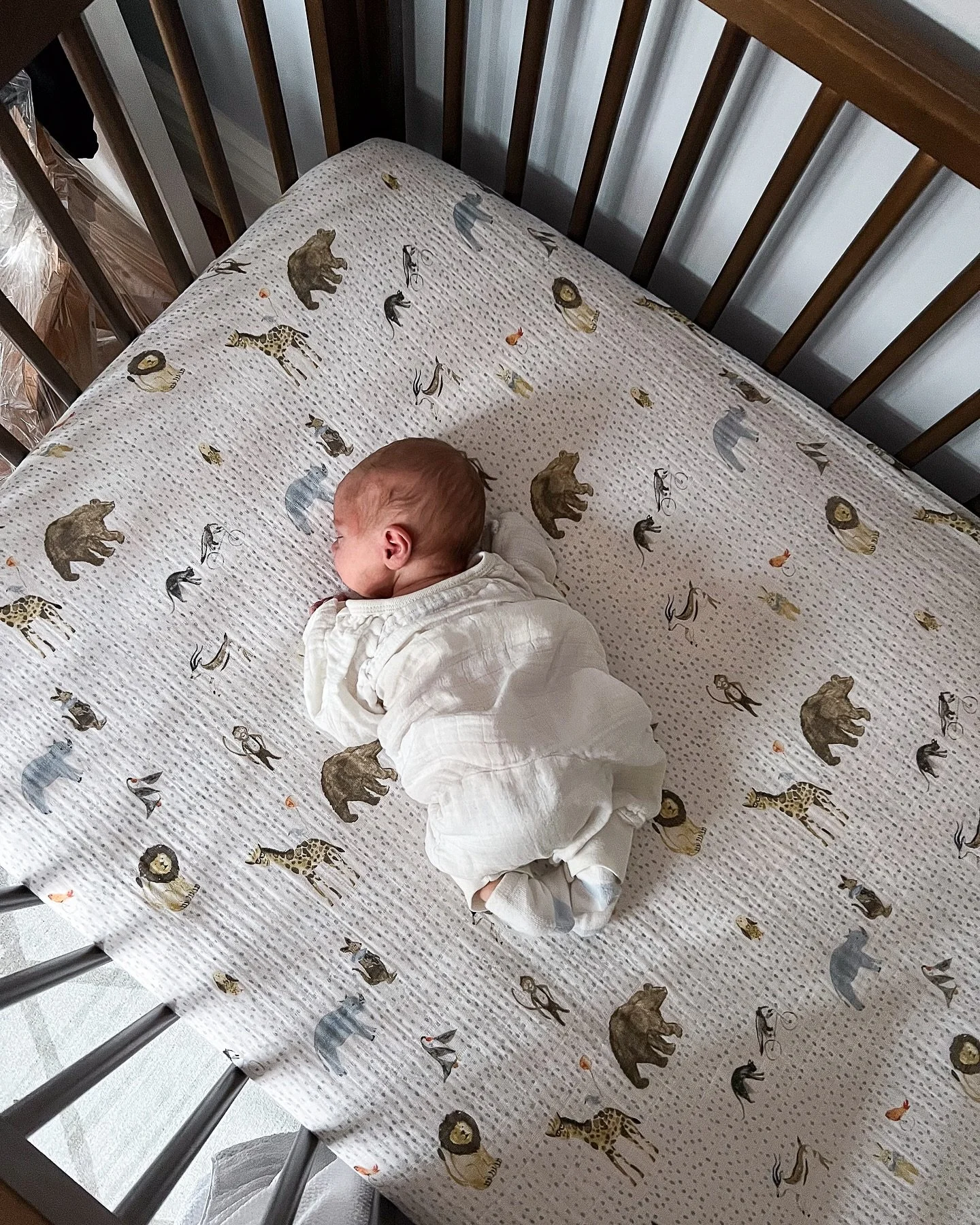 💕 How time flies now that you&rsquo;re in the world 🗓️ 4 weeks with baby Cyrus 🥹 

#newmom #boymom #newbornphotography #newborn #babyboy #cutebaby