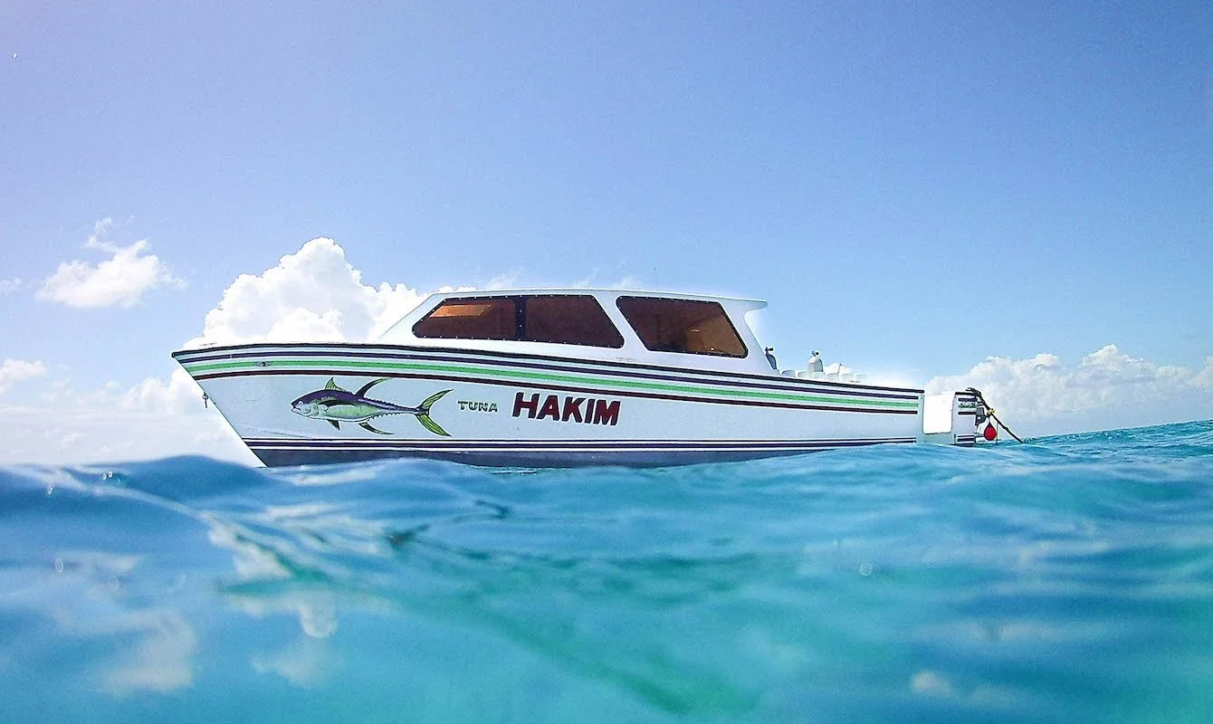 Lighthouse Reef Great Blue Hole Diving and Snorkeling Tours