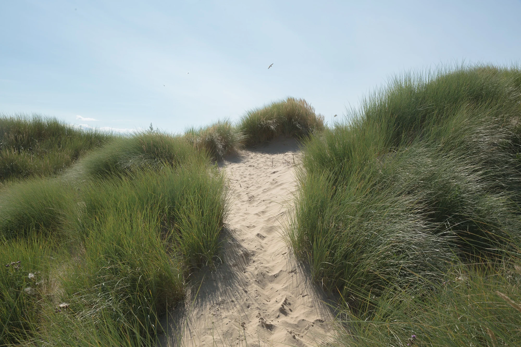 Formby_beach_resize-9.jpg