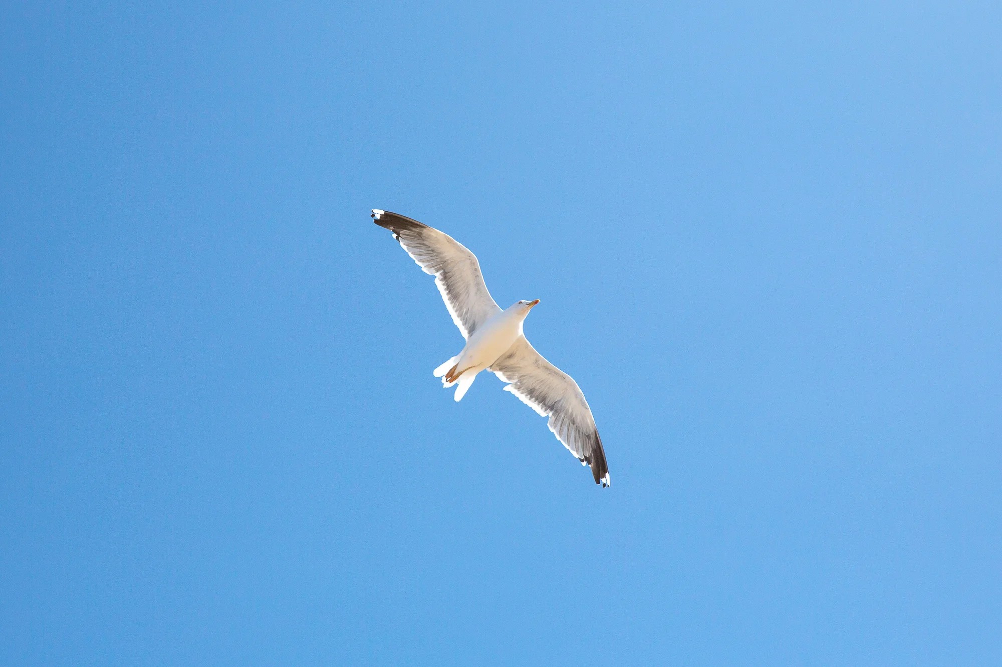 Formby_beach_resize-14.jpg