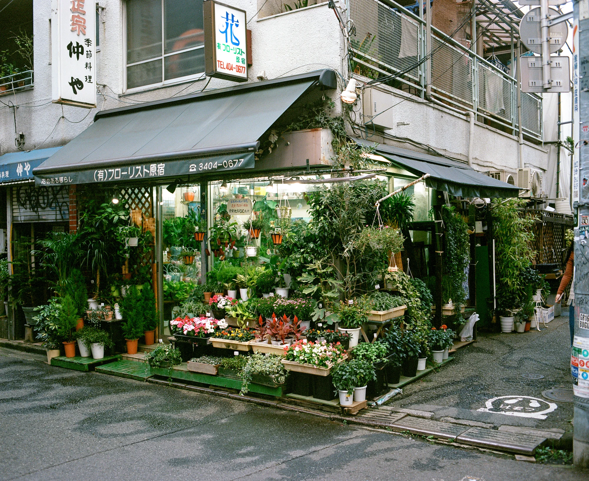 Japan_Export-29.jpg
