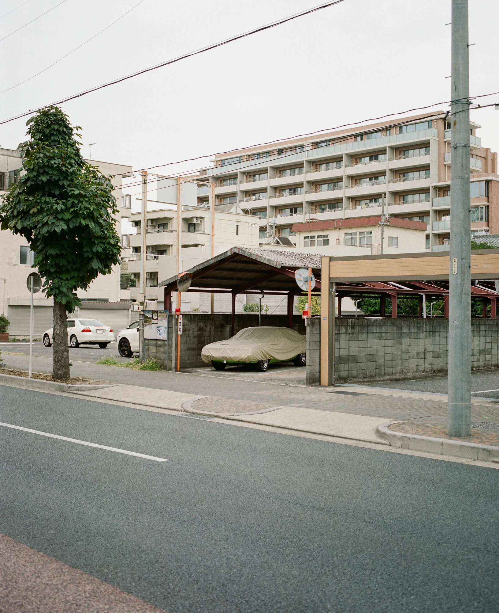 Japan_Export-109.jpg