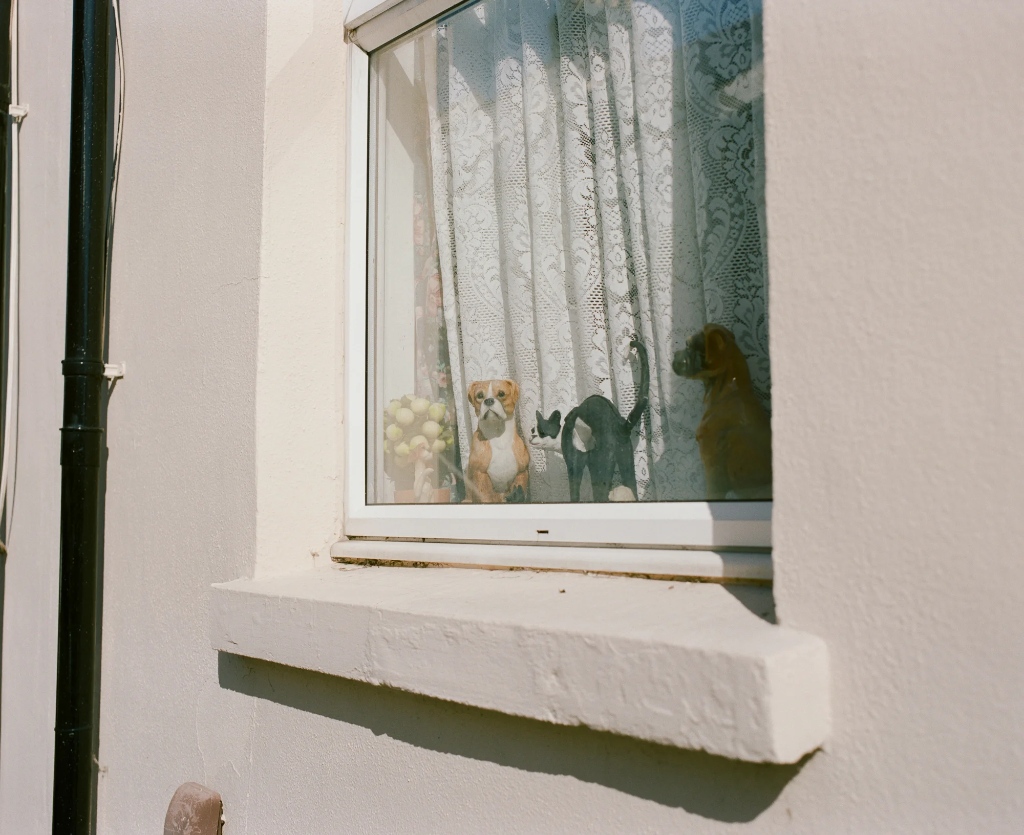 plymouth_may18resize-49.jpg