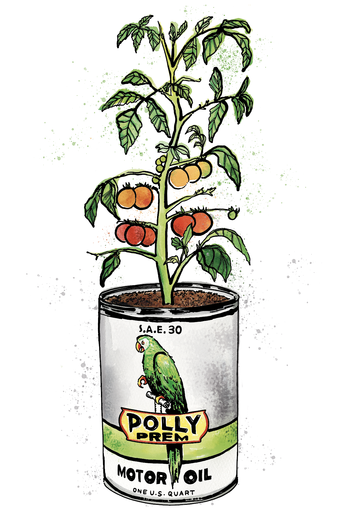 Tomato can.png