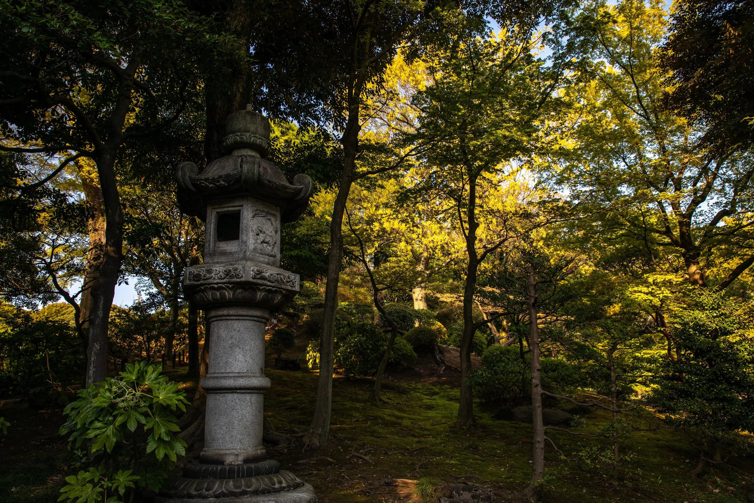 Japan Digital Pass 1-135.jpg