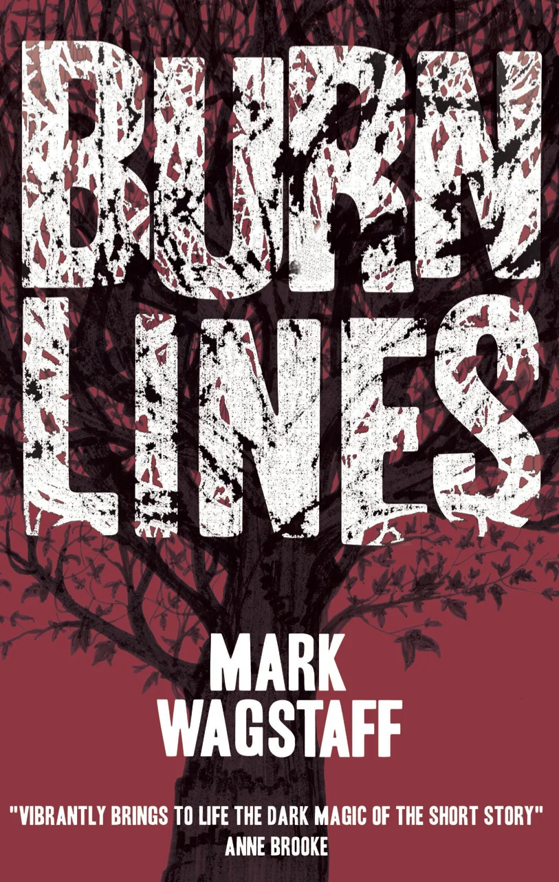 Cover Front BurnLines vAmazon.jpg