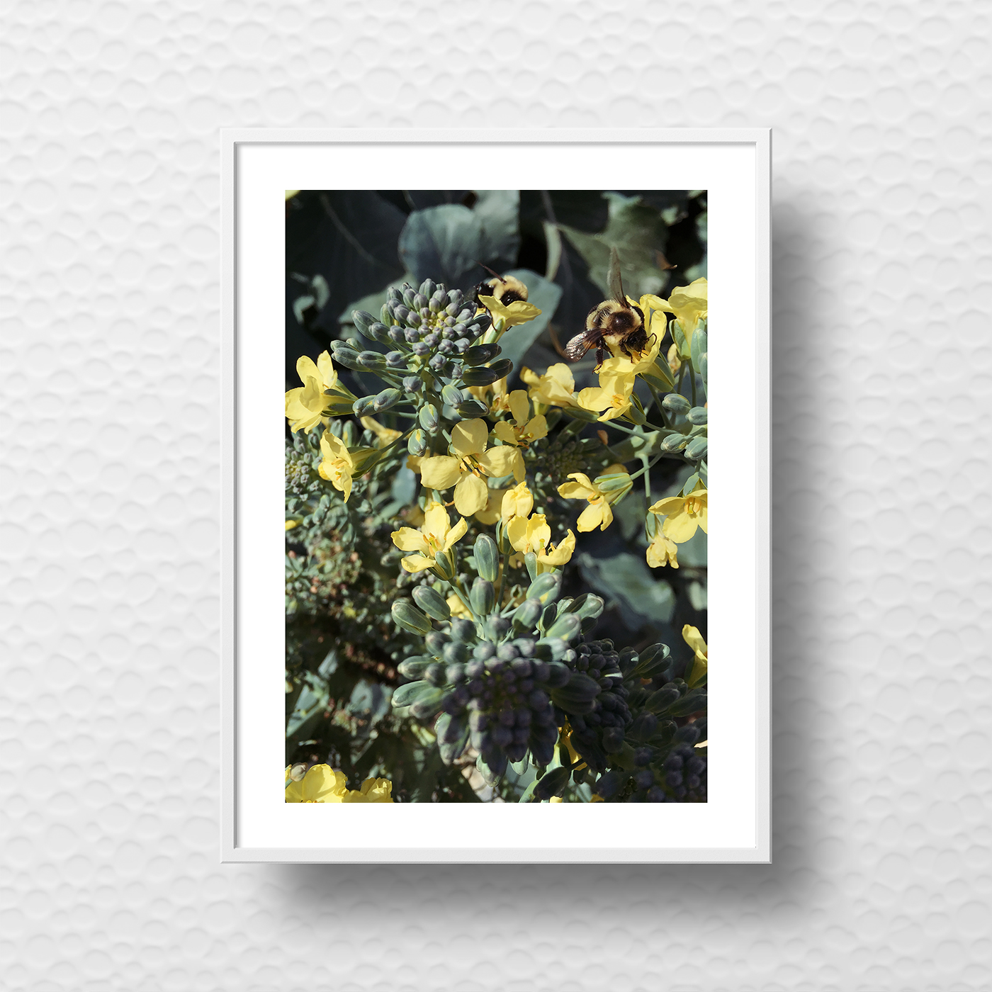 minted-challenge-minted-x-west-elm-belia-simm-broccoli-bees.jpg