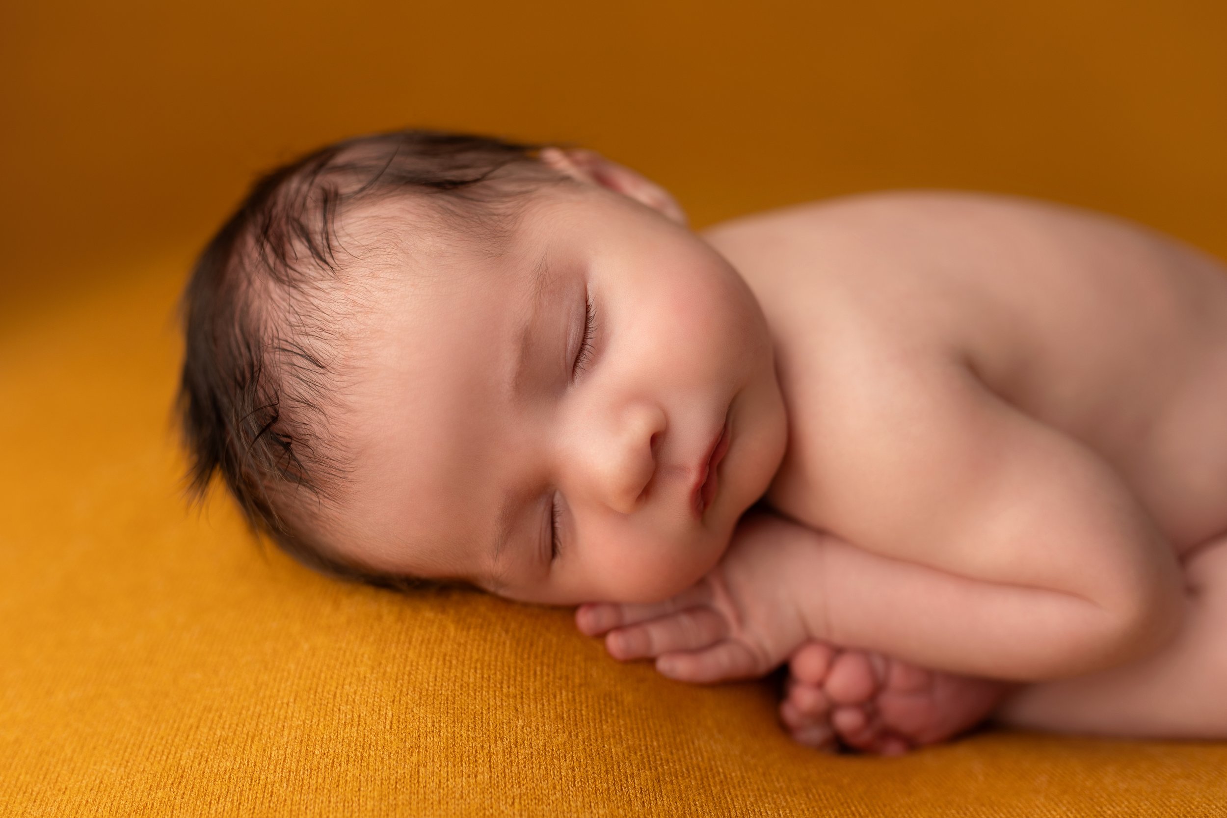baby hawk-springfield-illinois-newborn-portrait-photographer-samantha-jo-photography-04.jpg