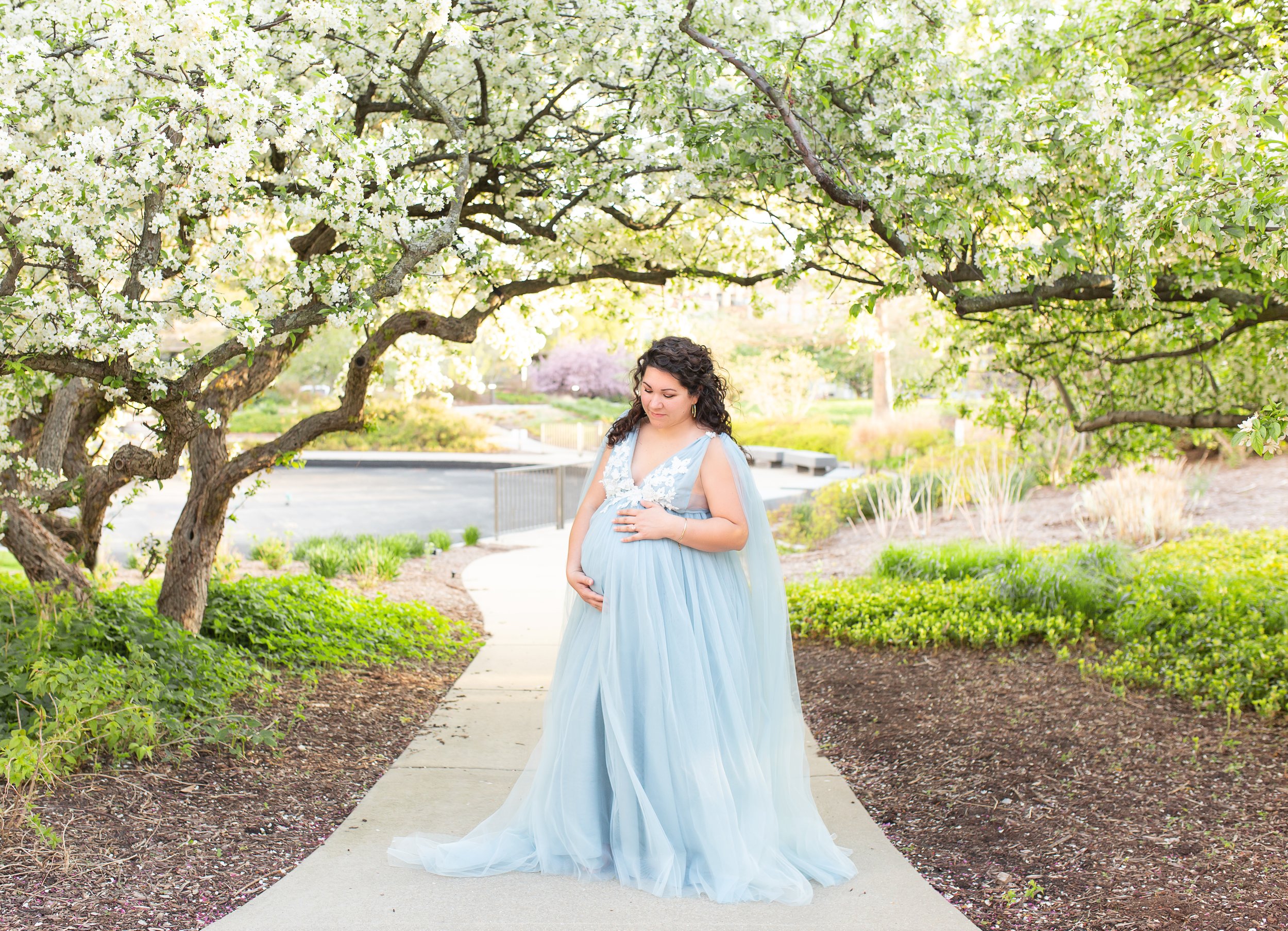 melissa-springfield-illinois-maternity-portrait-photographer-samantha-jo-photography-04.jpg