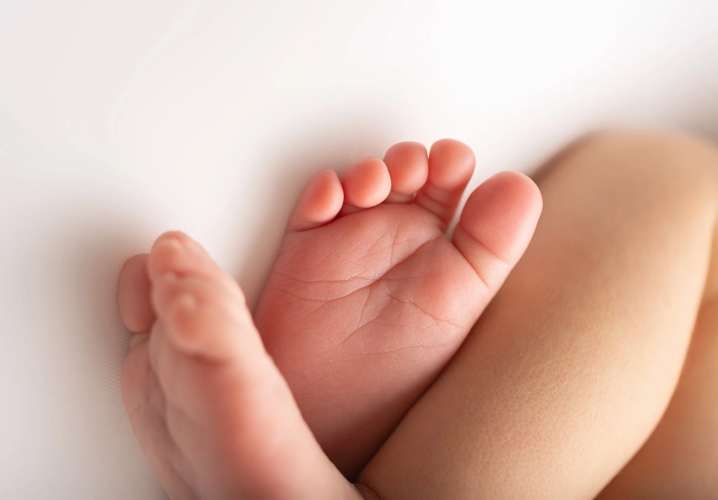 Tiny Newborn Baby Feet