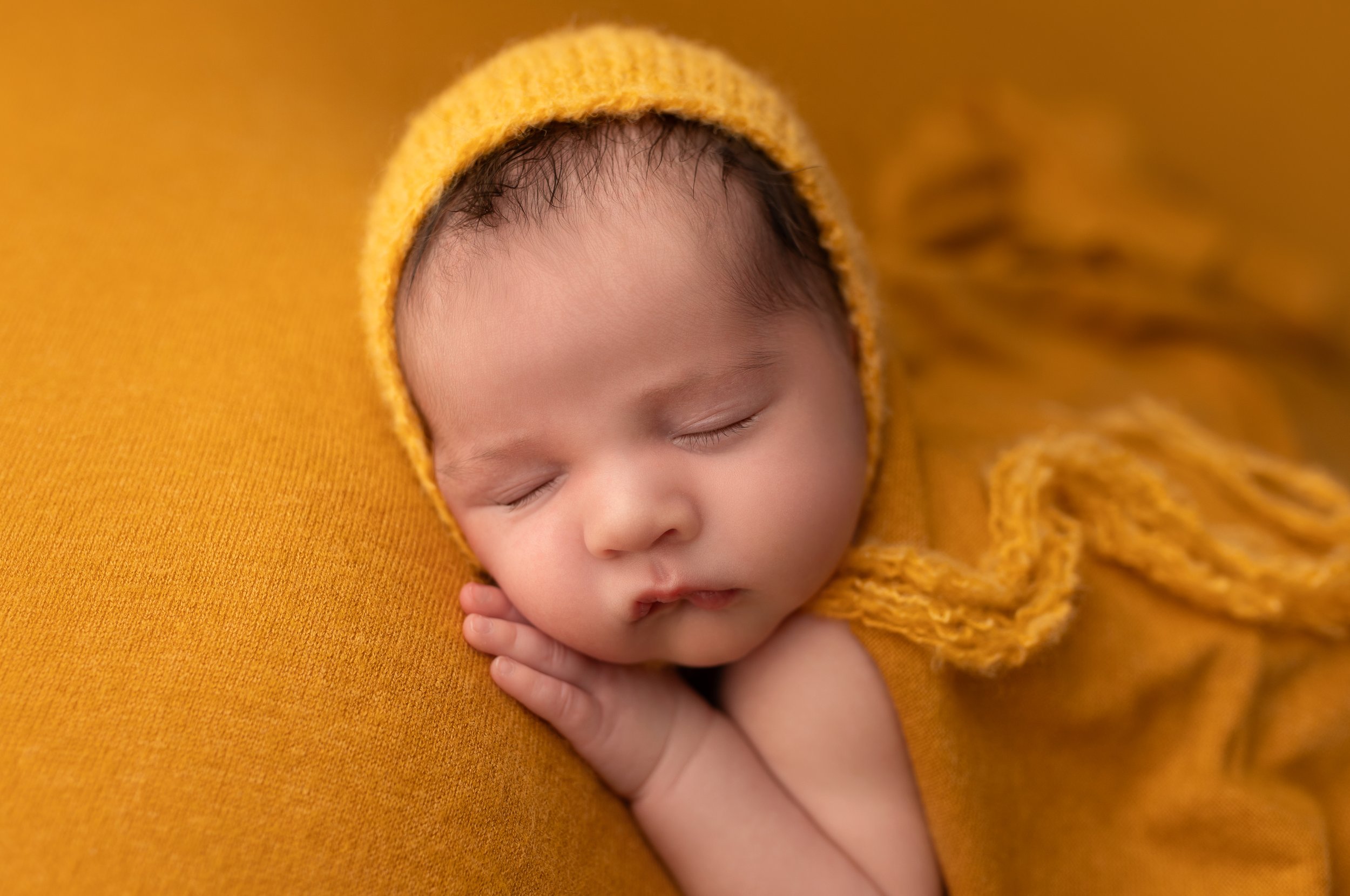 baby hawk-springfield-illinois-newborn-portrait-photographer-samantha-jo-photography-05.jpg