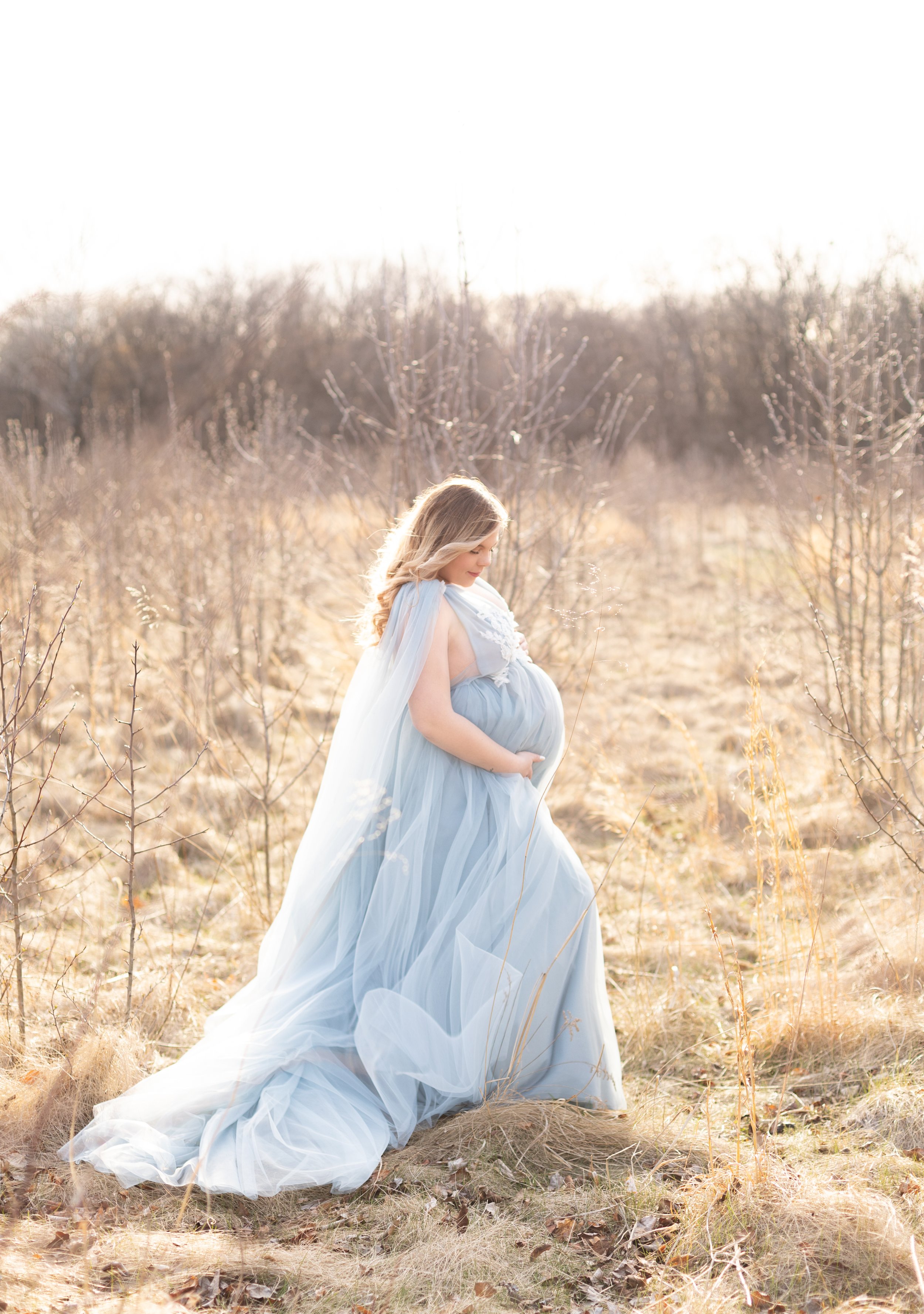 Maternity portrait of a mom in a flowing baby blue maternity dress in a winter field
