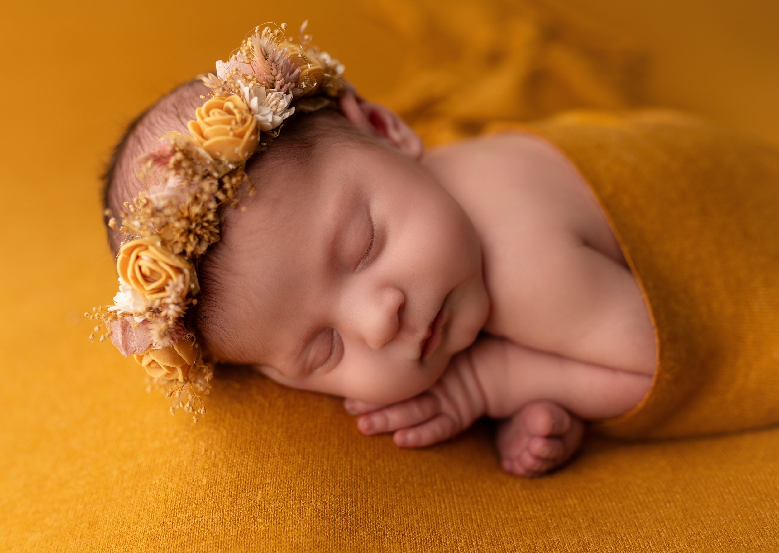 baby phoebe-springfield-illinois-newborn-portrait-photographer-samantha-jo-photography-08.jpg