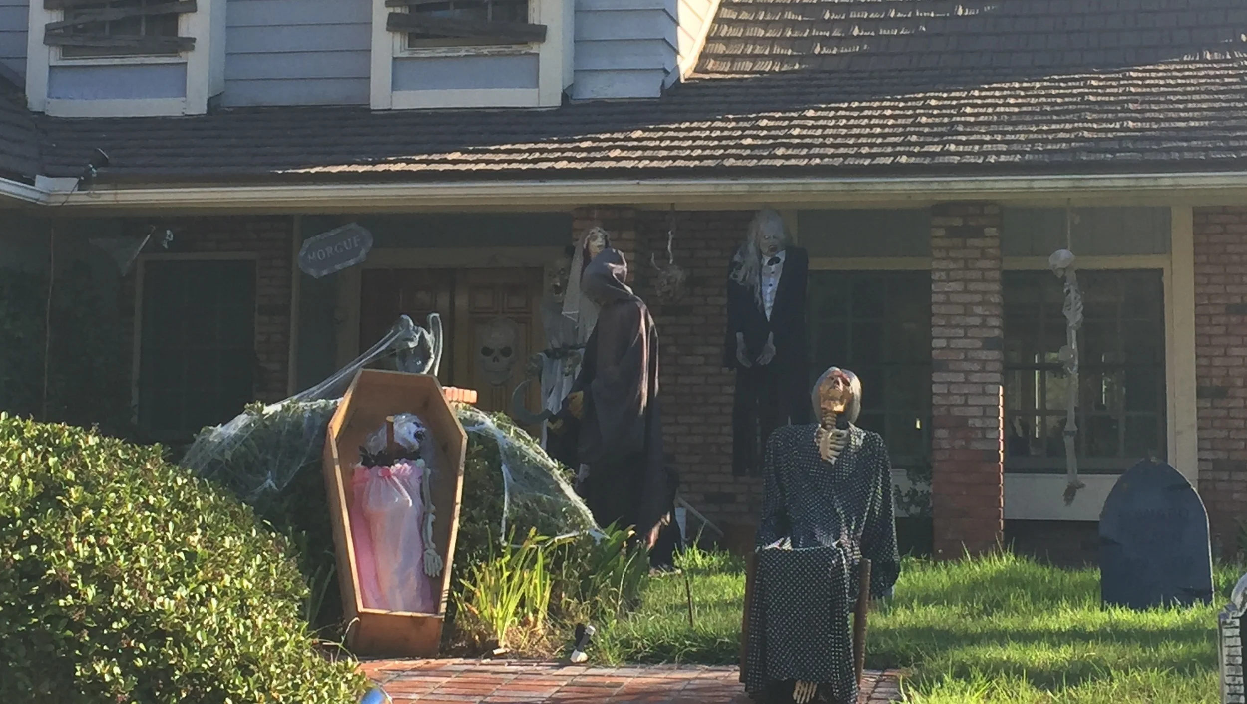 李岘视点：                                      《只能不信邪》 