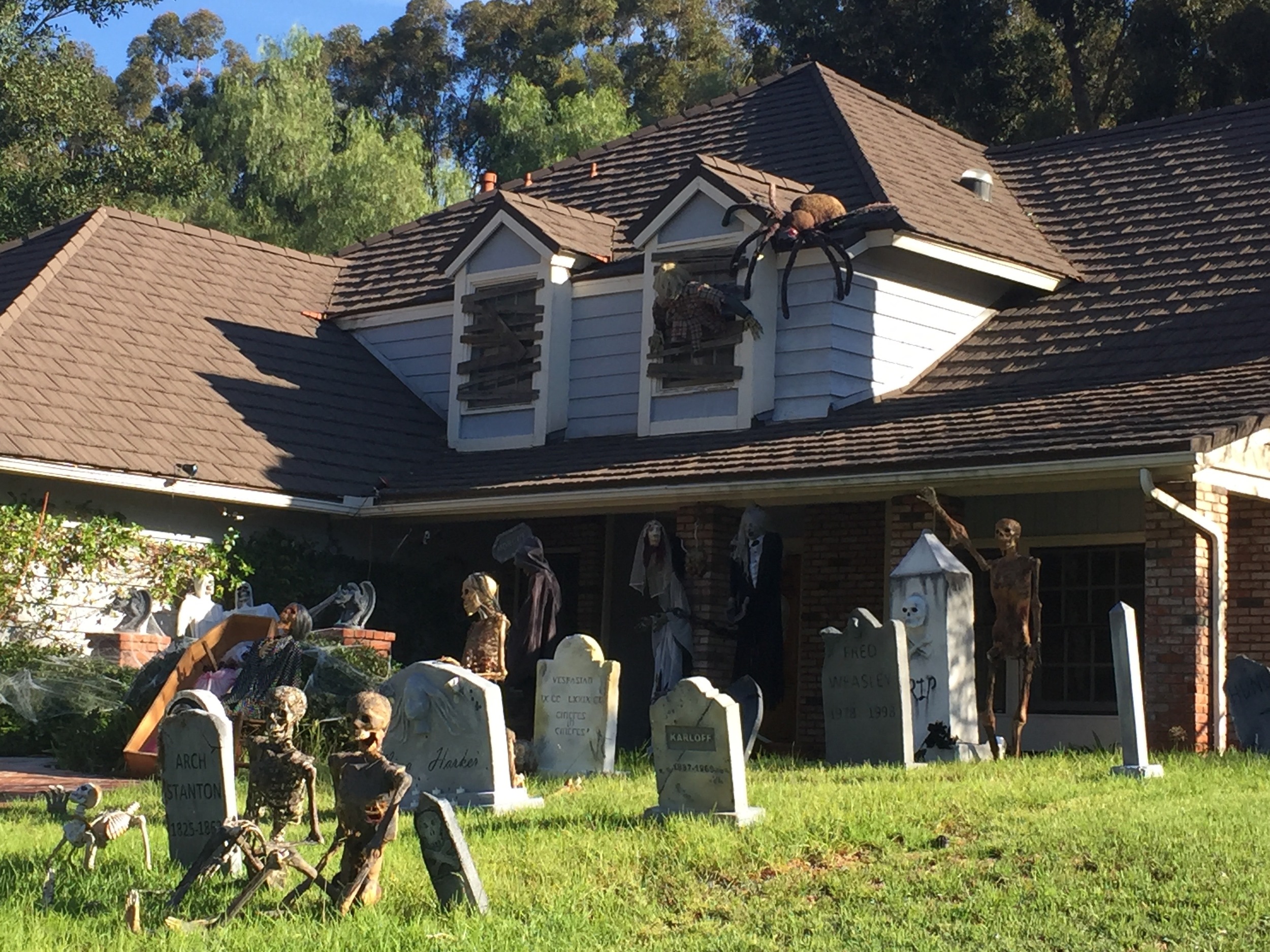                        《飘在美国》(上篇)第一章只能不信邪(4)                         