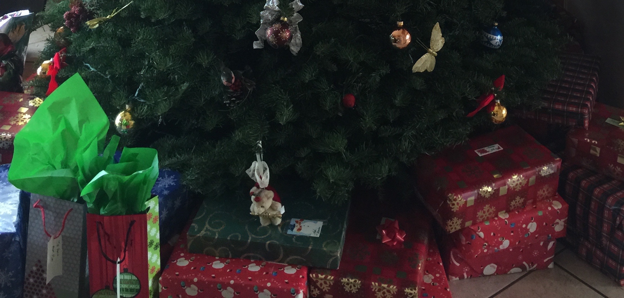 《飘在美国》（上篇）第三章 身在异乡不是客（2）