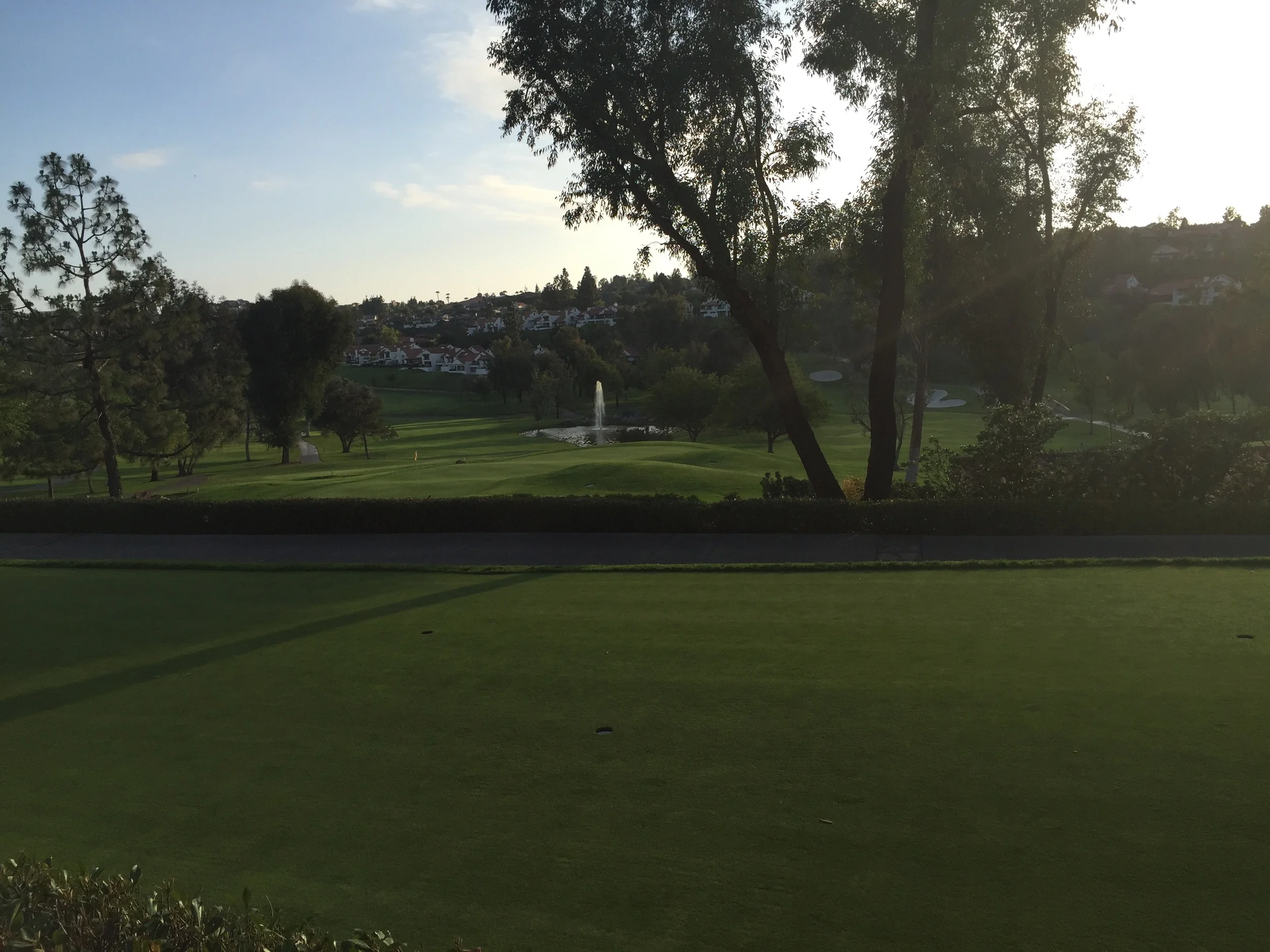 《飘在美国》（上篇）第七章 青青芳草地（1）