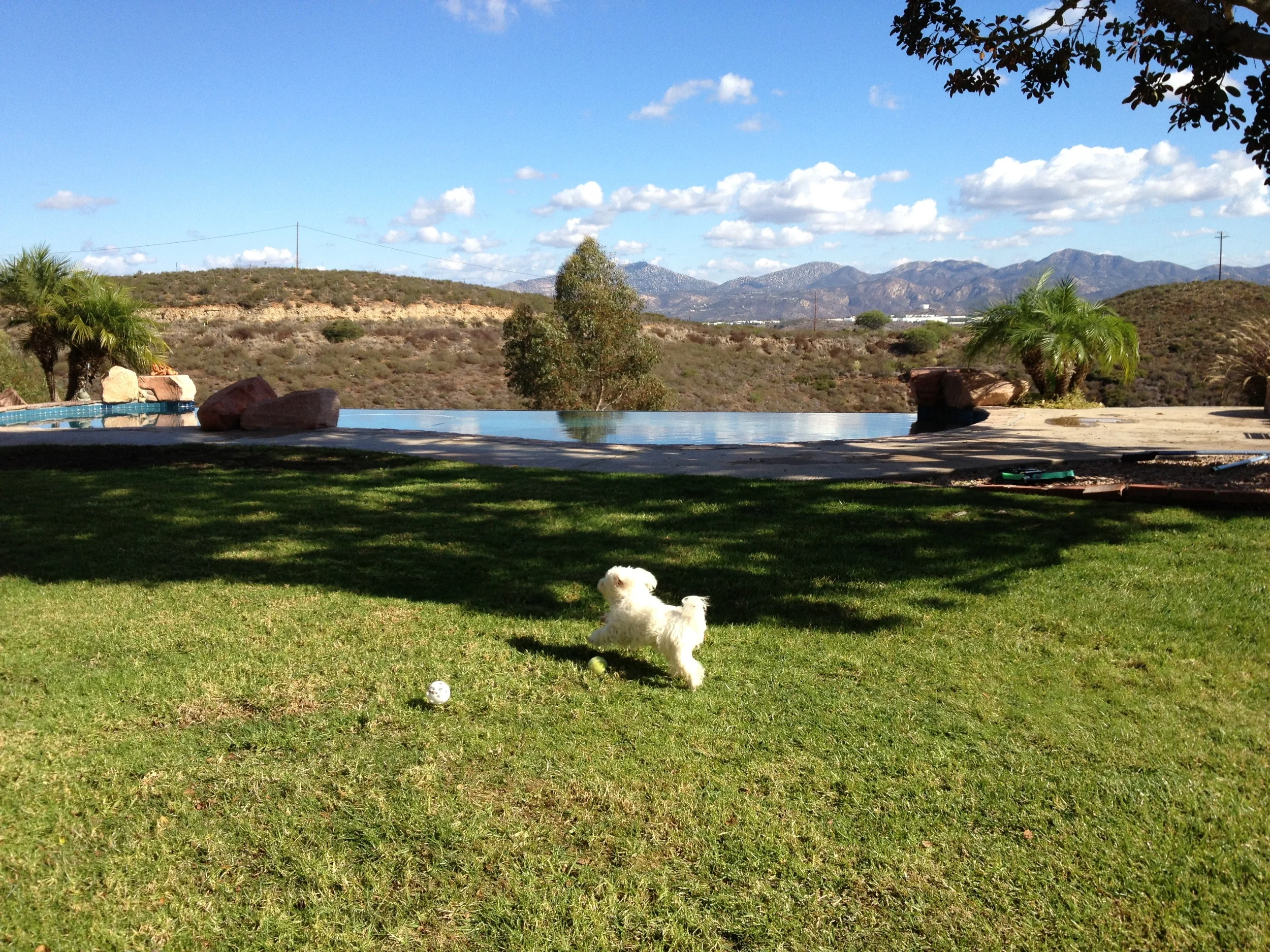 《飘在美国》(上篇)第七章 青青芳草地(2)