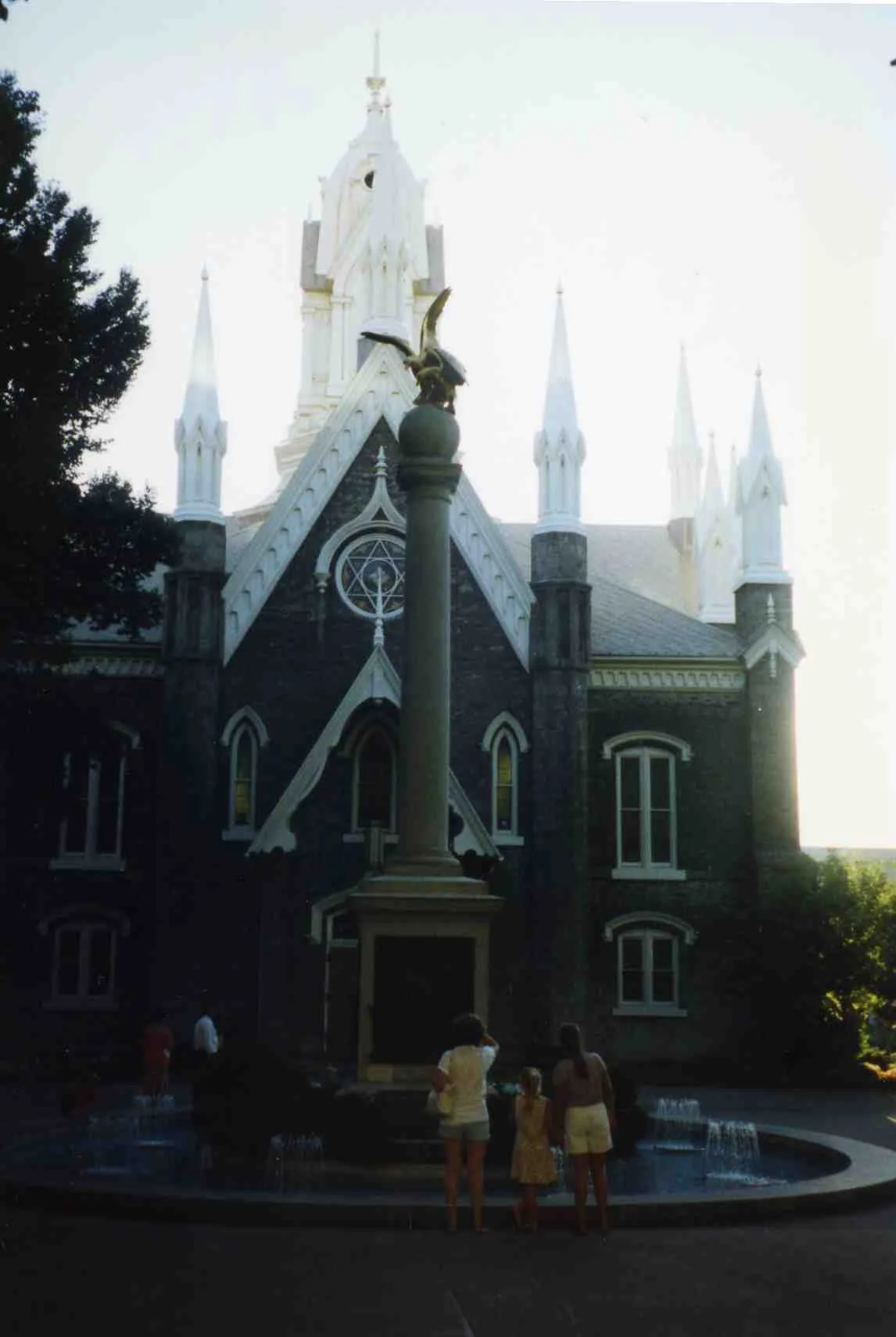 《飘在美国》(上篇)第七章 青青芳草地(3)