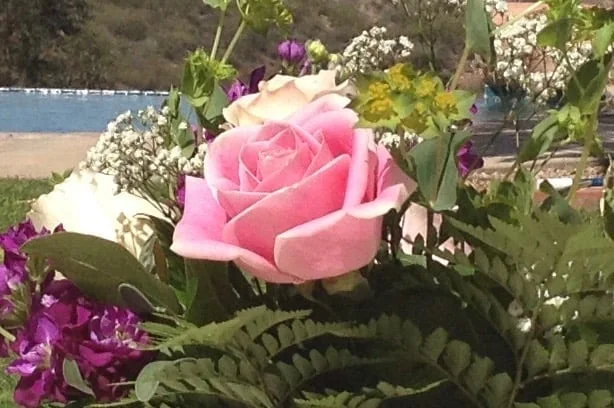 《飘在美国》(上篇)第八章 游子吟(3)