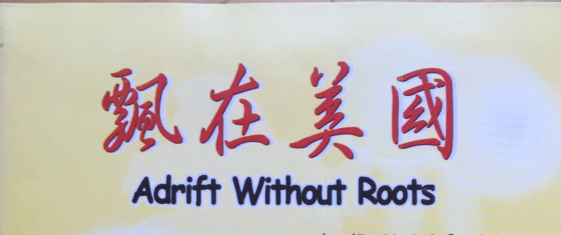      《试析美国华侨华人重视自身研究的意义》