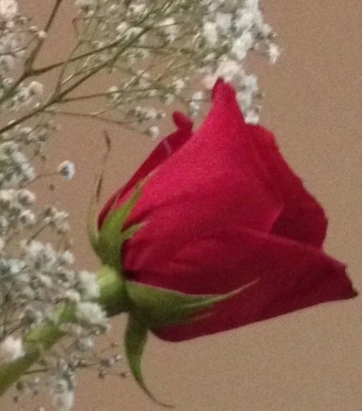 《飘在美国》（上篇）第九章 心有戚戚情（3）