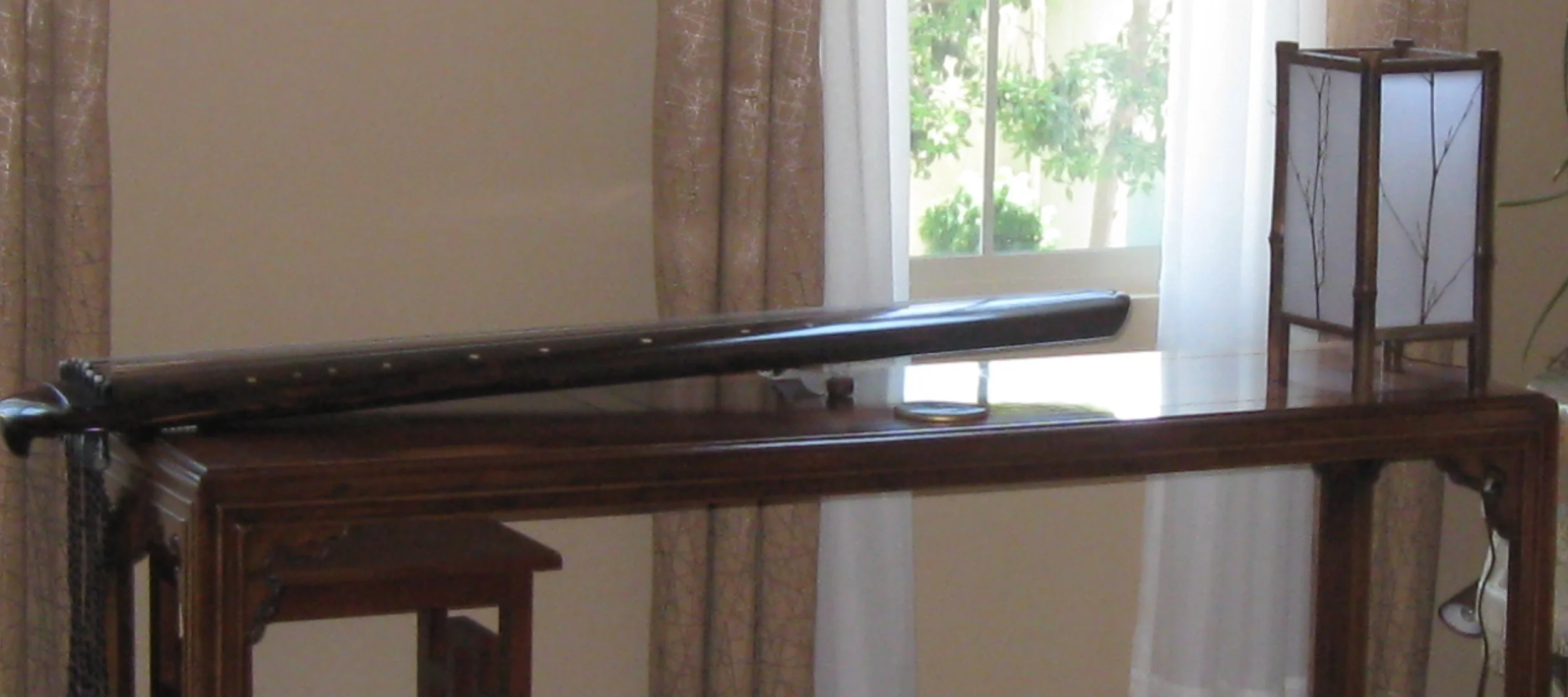 《飘在美国》（中篇：惊梦）    让作品说话