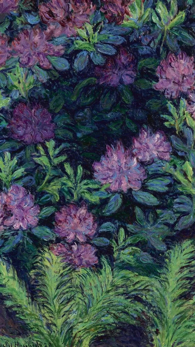 image3 (2).JPG