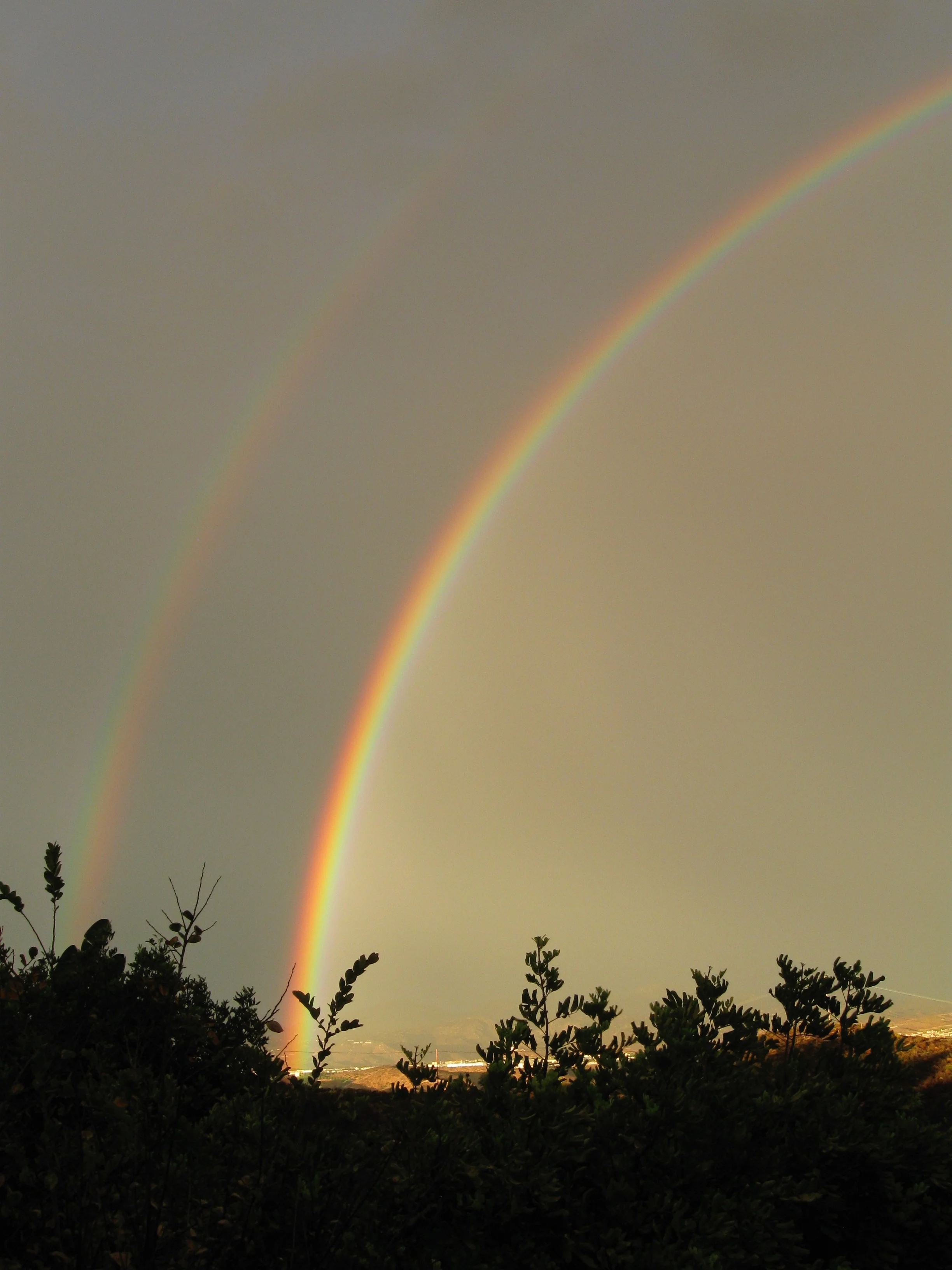 随笔《 哭笑不得》