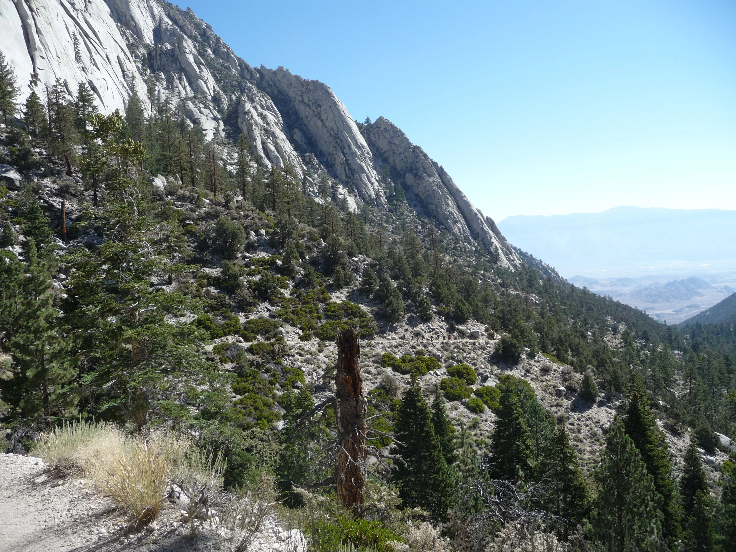 诗词 七律 野营爬山有怀