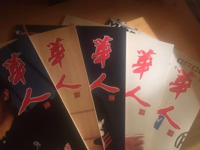 随笔《大漠  .  绿洲  .  奇葩 》