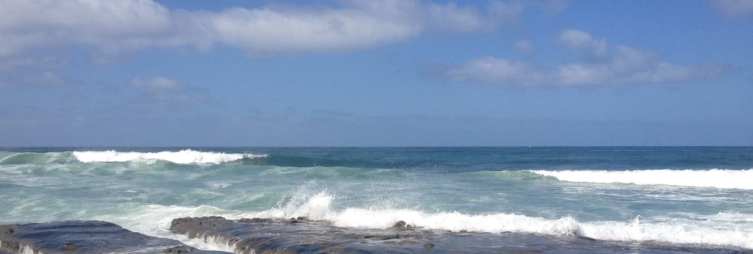 散文《任神思独往》