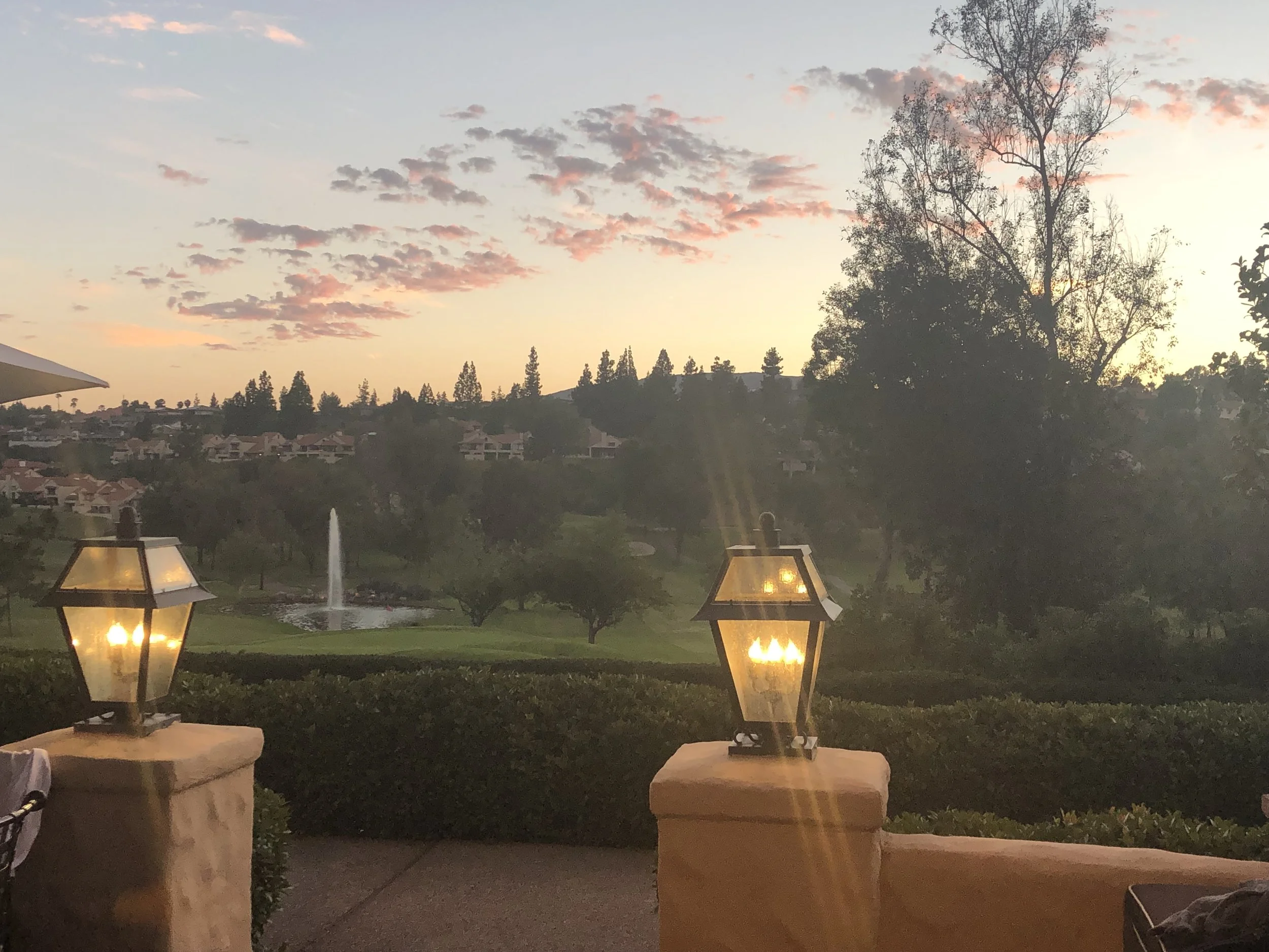 美国中文作协第二届理事会第八次会议简讯