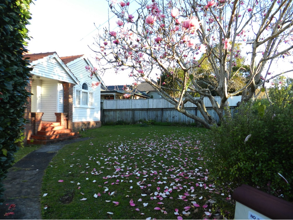 赋词（ 词牌六丑）——《落花无迹 》