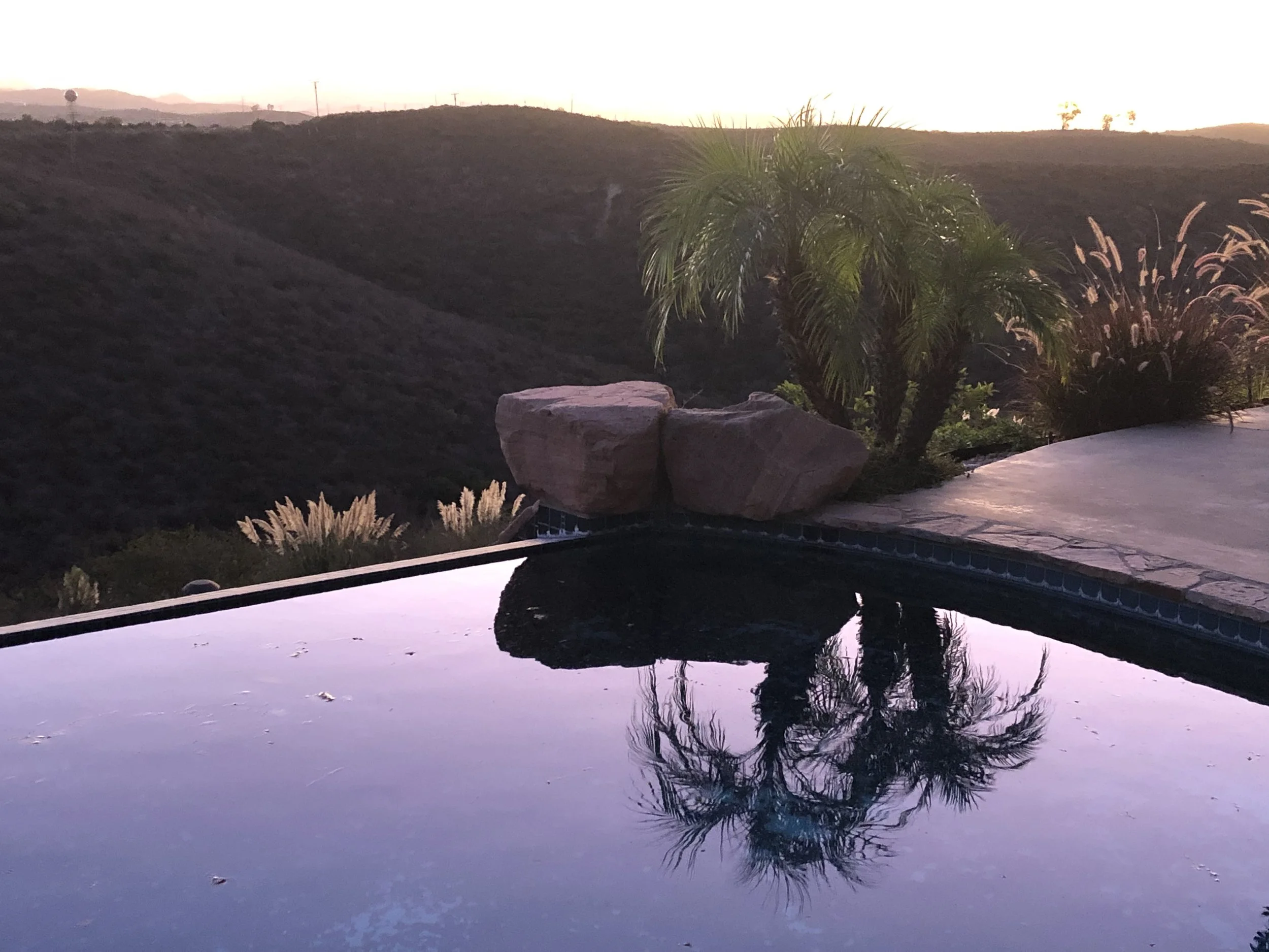 微论坛第二期《散文诗》成功举办