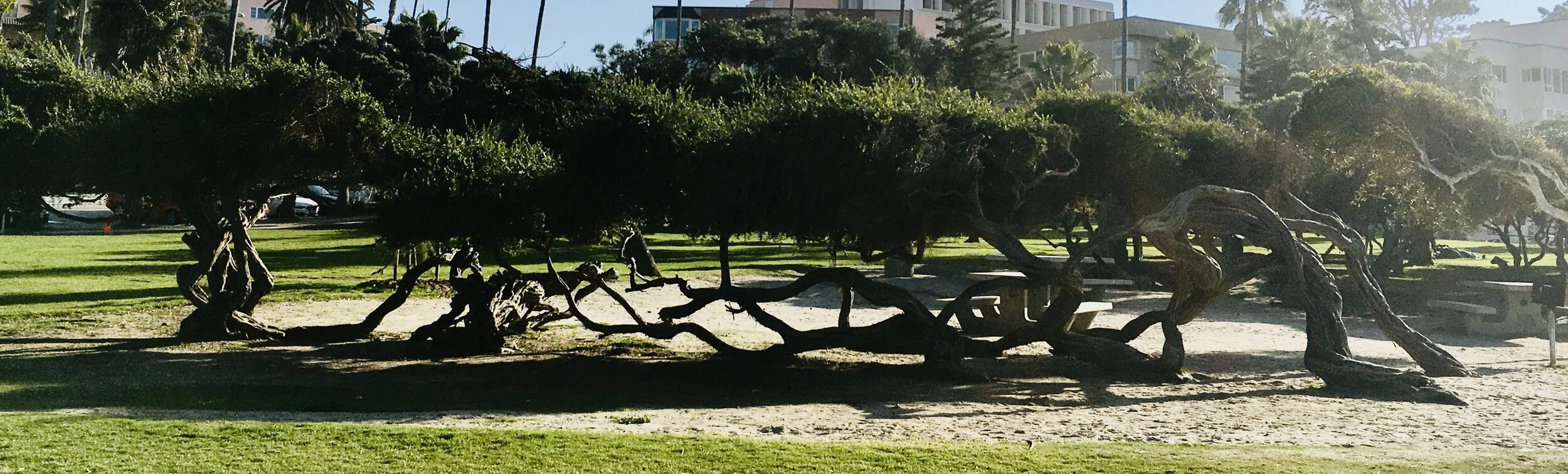 微论坛第三期“狭义散文与随笔的区别”成功举办