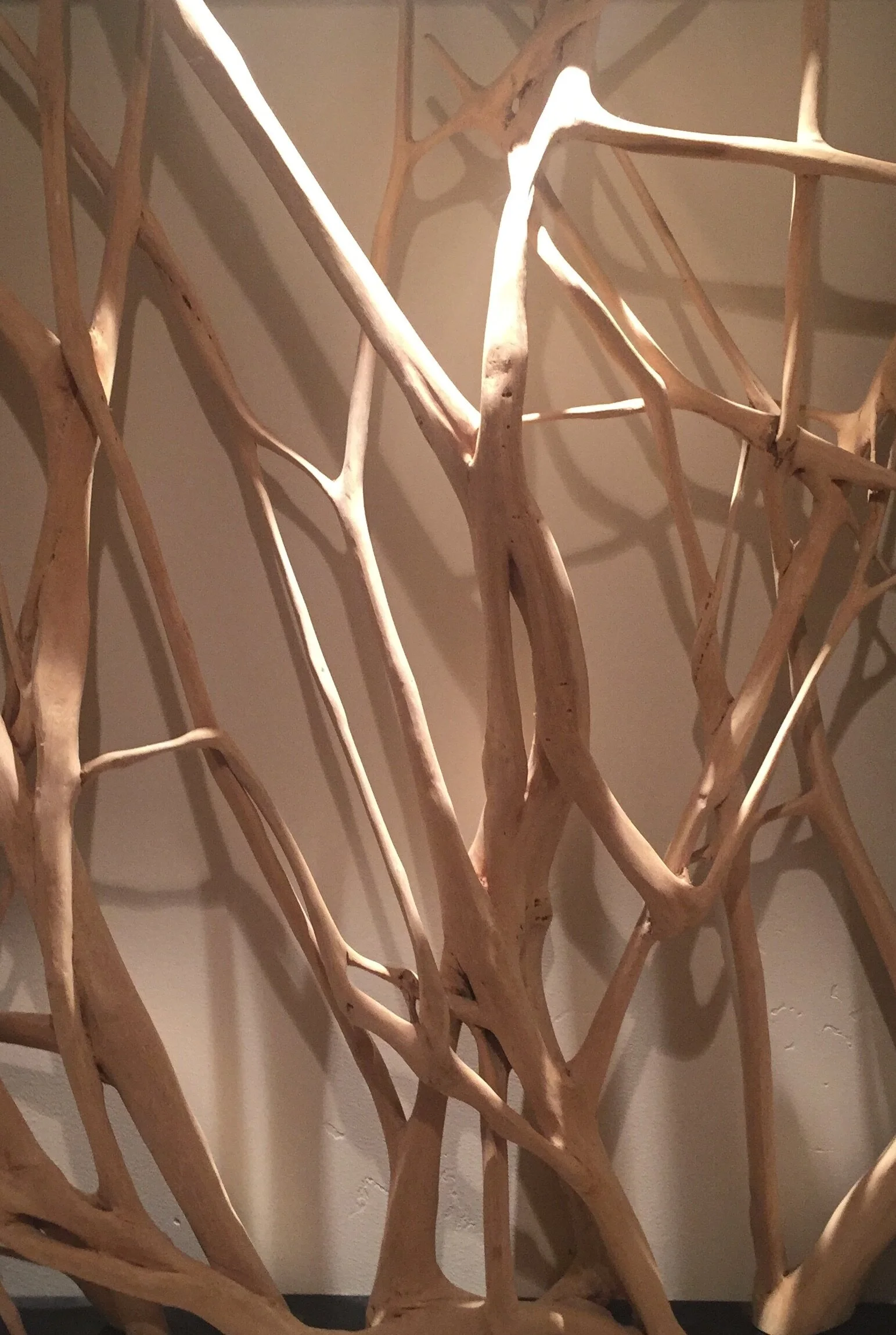 作协第五期微论坛 “二十一世纪小说的文学性和商业性”成功举办