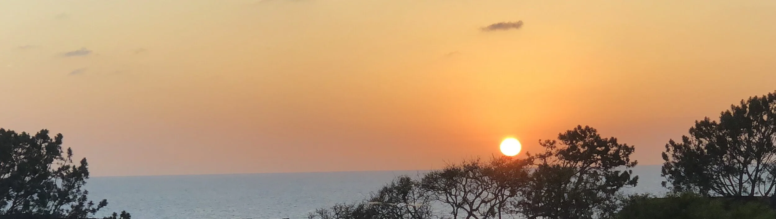 美国中文作家协会第三届理事会成员揭晓