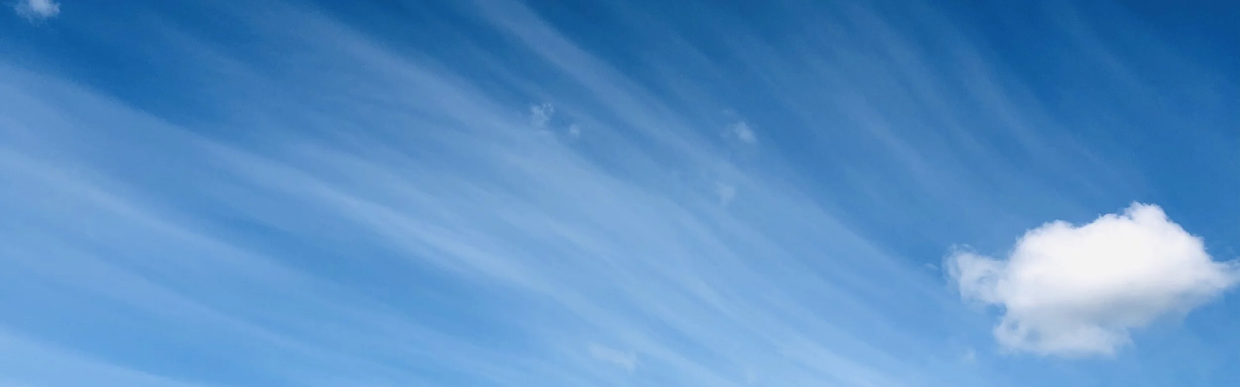 美国中文作家协会第三届理事会选举工作介绍