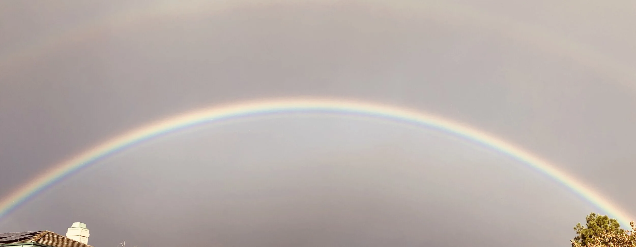 美国中文作家协会首届艺术委员会第一次会议简讯