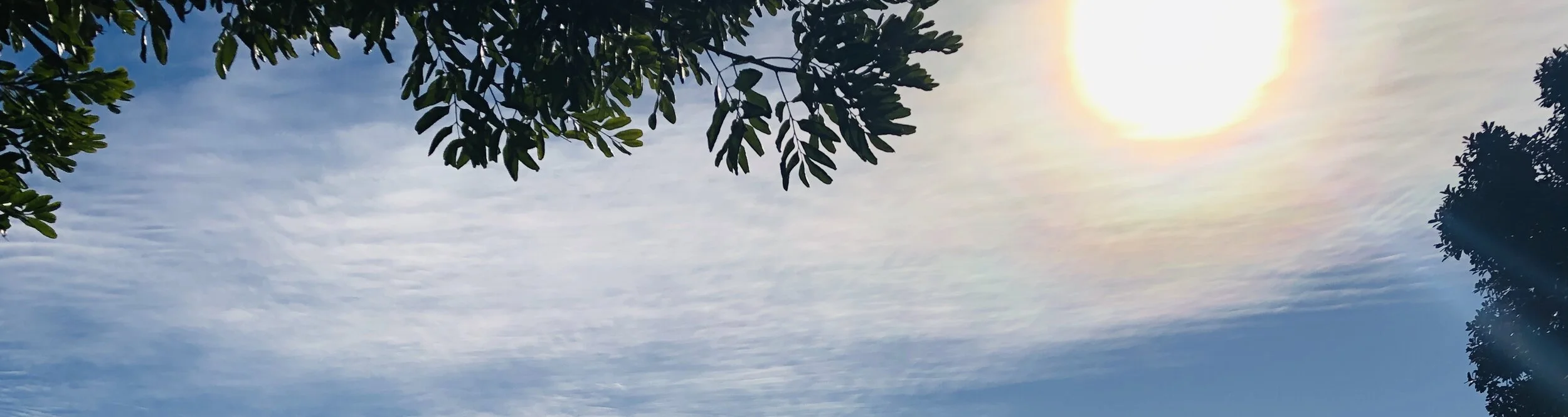 美国中文作家协会协第三届理事会第一次会议简讯