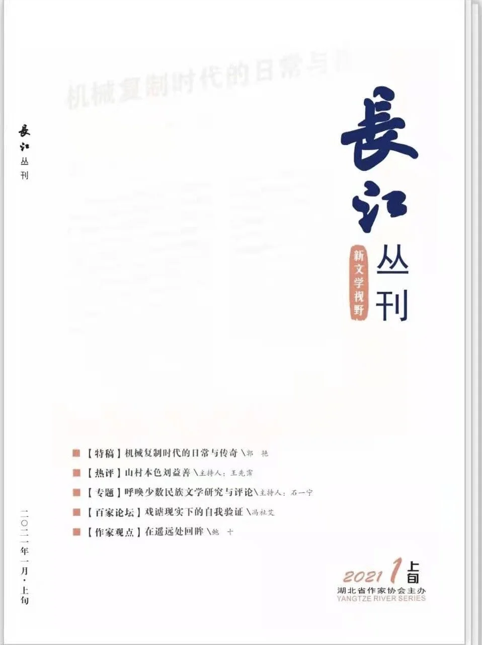 评论文章《在遥远处回眸》作者:鲍十