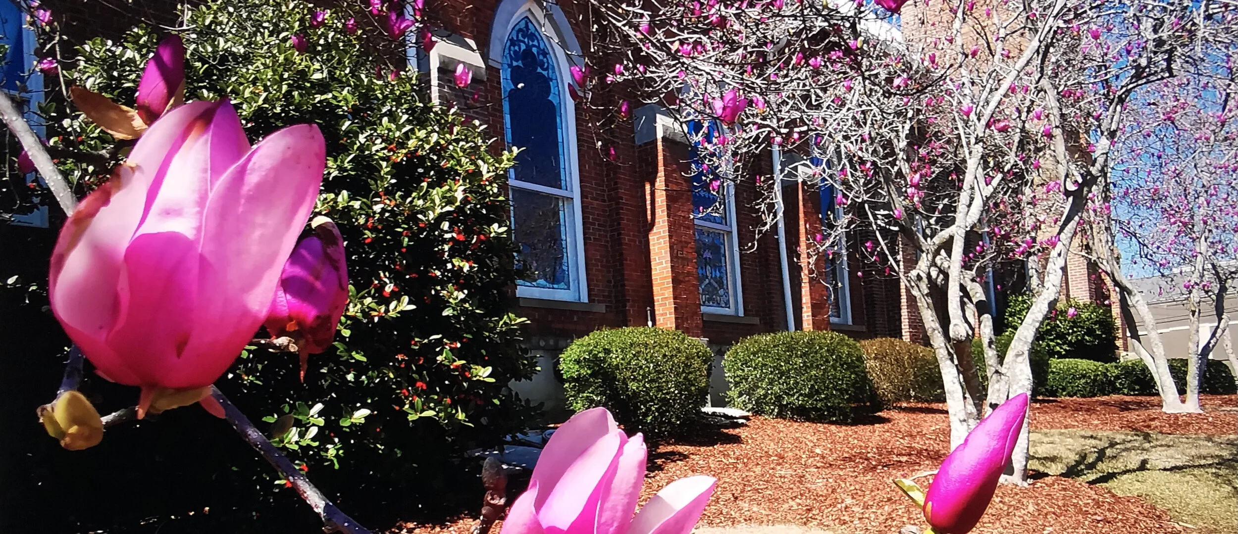 诗歌二首《春 绣》